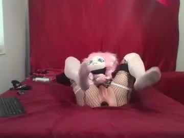 caged_kitty from Chaturbate is Freechat