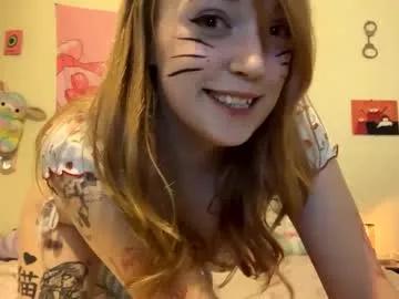 kittyme0ws from Chaturbate is Freechat