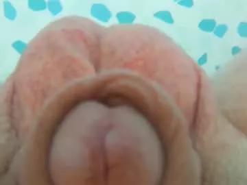 littlebits1234 from Chaturbate is Freechat