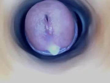 paulainoscente from Chaturbate is Freechat