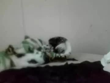 roxybcali from Chaturbate is Freechat