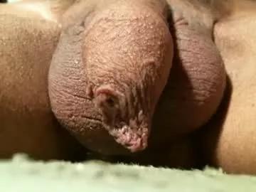 roxycock55 from Chaturbate is Freechat