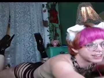 xpawstarx from Chaturbate is Freechat