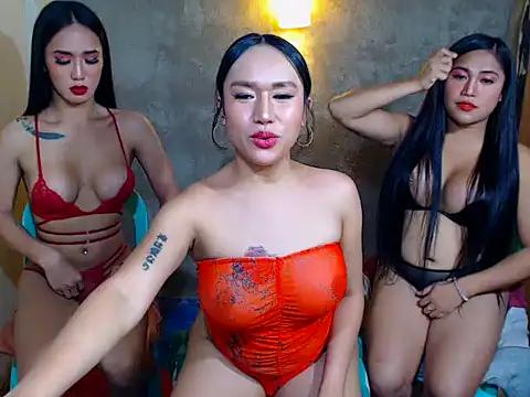 Check out our webcam shows gallery and message on a personal level with our sweet squirt cams hosts, showing off their natural physiques and sex toys.