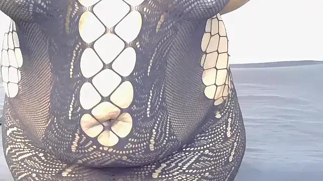 Curvy_CumBucket from StripChat is Freechat
