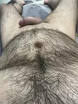 HairyArabicGuy from StripChat is Freechat