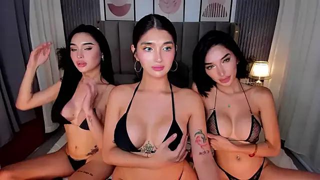 Check out our webcam shows gallery and message on a personal level with our sweet squirt cams hosts, showing off their natural physiques and sex toys.