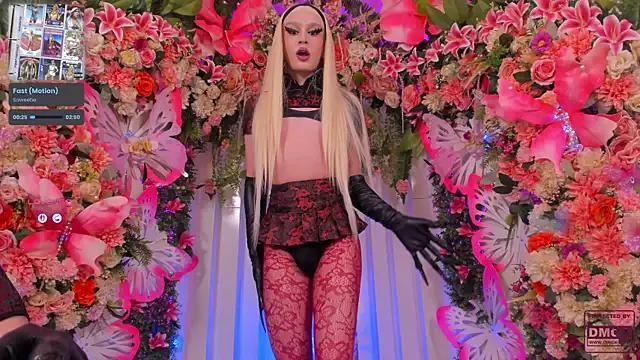 SpicySluts from StripChat is Freechat