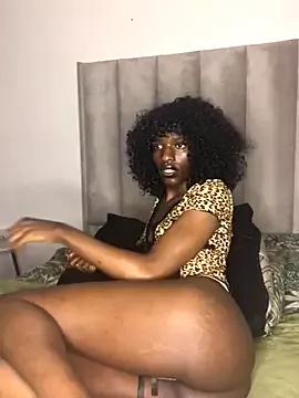 Trans_fairy from StripChat is Freechat