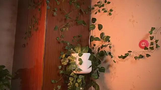 webstar666 from StripChat is Freechat