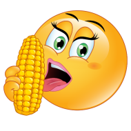 SonY_CaM's Cams room topic live on STRIPCHAT - corn